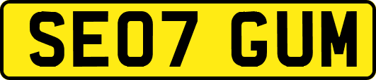 SE07GUM