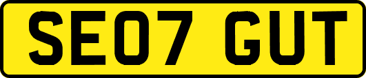 SE07GUT