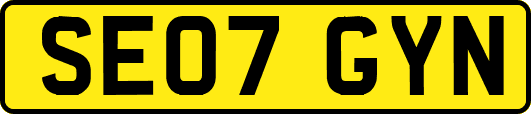SE07GYN