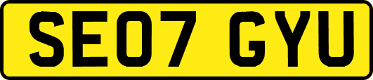 SE07GYU