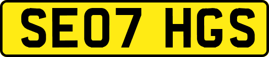 SE07HGS