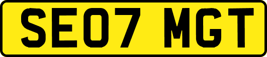 SE07MGT
