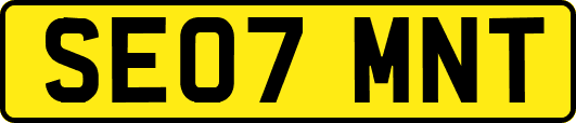 SE07MNT