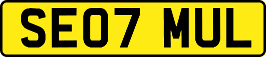 SE07MUL