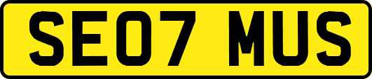 SE07MUS