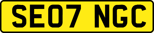 SE07NGC