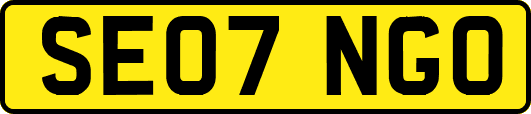SE07NGO