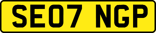 SE07NGP