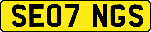 SE07NGS