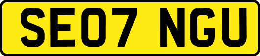 SE07NGU