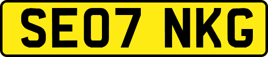 SE07NKG