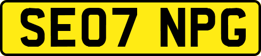 SE07NPG