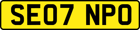 SE07NPO