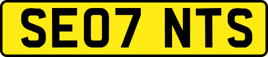 SE07NTS