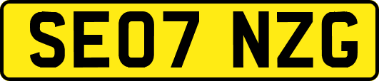 SE07NZG