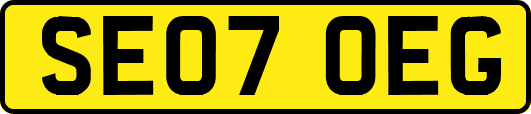 SE07OEG
