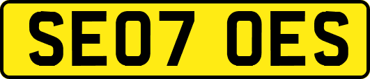 SE07OES