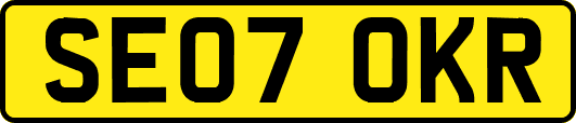 SE07OKR