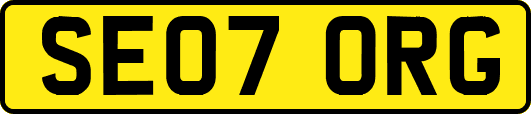 SE07ORG