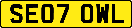 SE07OWL