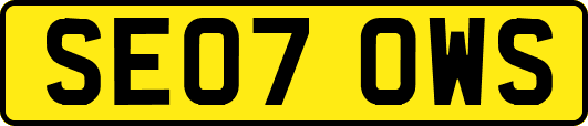 SE07OWS