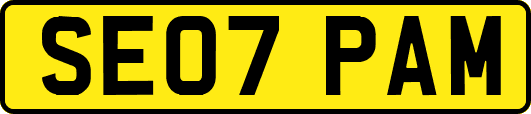 SE07PAM