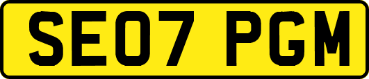 SE07PGM