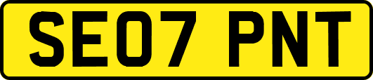 SE07PNT