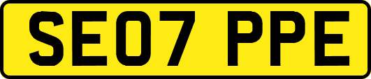 SE07PPE