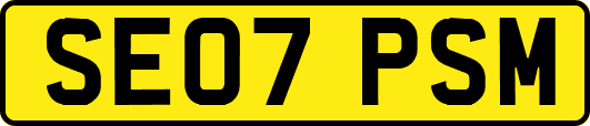 SE07PSM