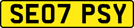 SE07PSY