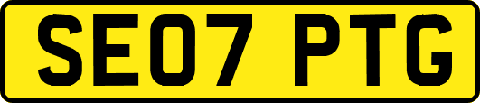 SE07PTG