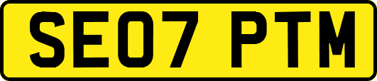 SE07PTM