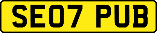 SE07PUB