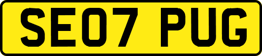 SE07PUG