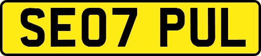 SE07PUL