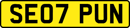 SE07PUN