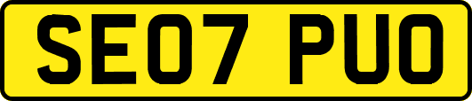 SE07PUO