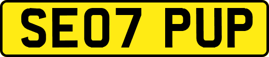 SE07PUP