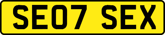 SE07SEX