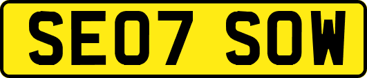 SE07SOW