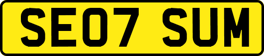 SE07SUM