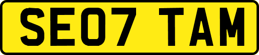 SE07TAM