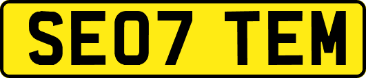 SE07TEM