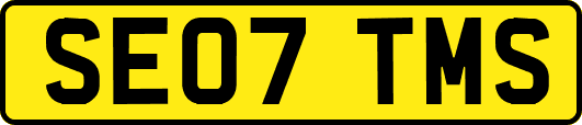 SE07TMS