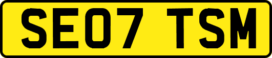 SE07TSM