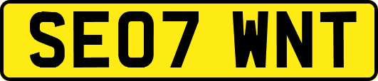 SE07WNT