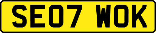 SE07WOK