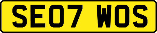 SE07WOS