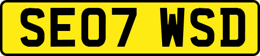 SE07WSD